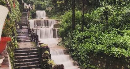 Lose yourself in Nature