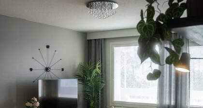 Arctic Studio By Lapland Host