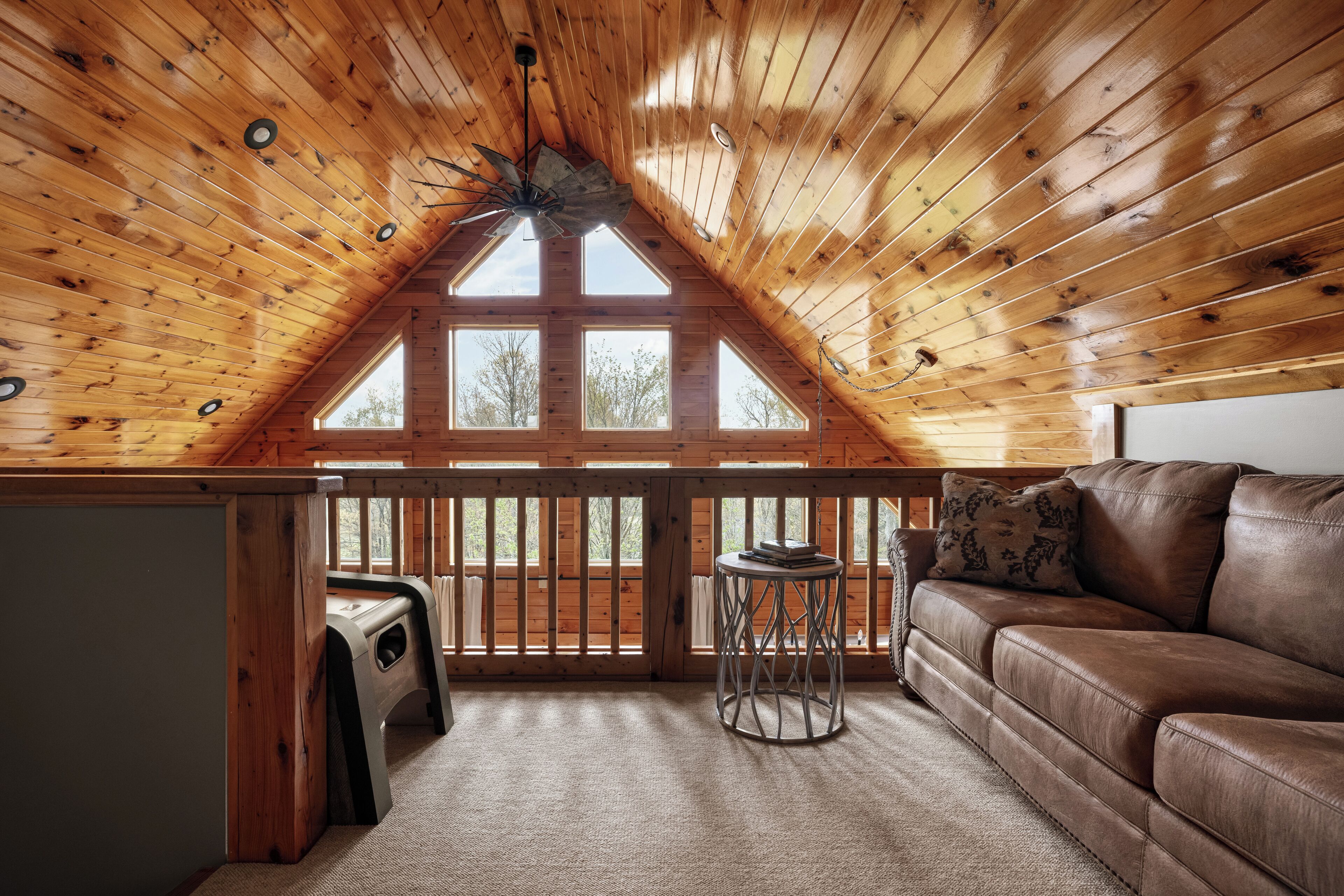 Smart-tv, pejs, bordfodbold, bøger