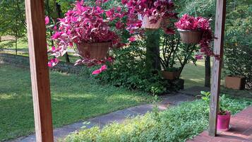 Un patio cubierto con macetas colgantes llenas de follaje rosa intenso.