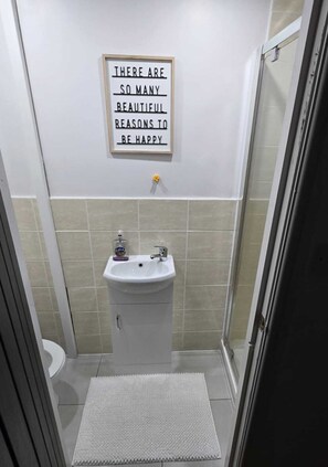 Shower, towels, toilet paper