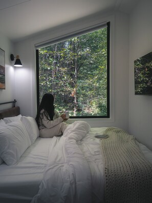 Internet, bed sheets