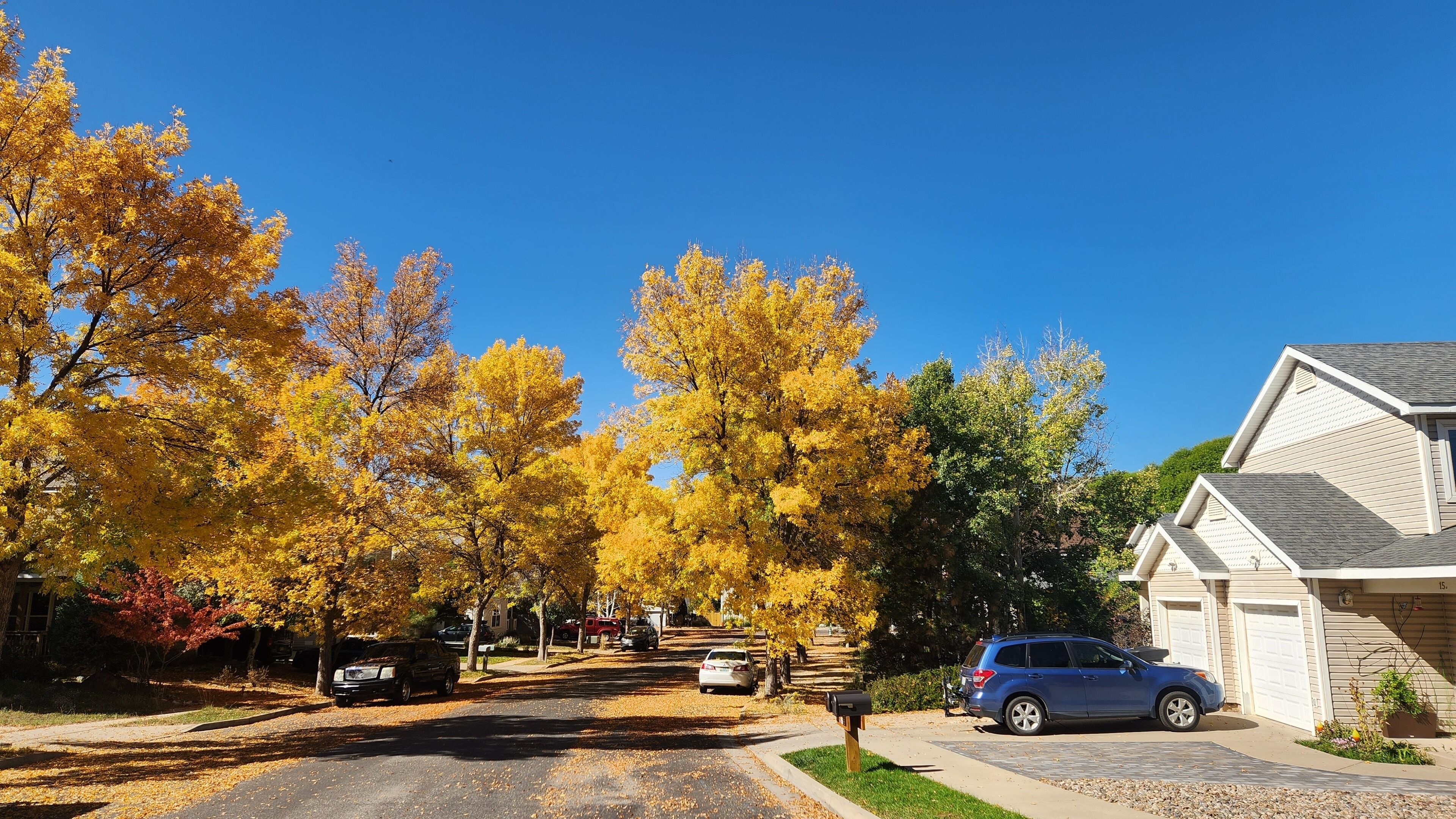 Une rue résidentielle bordée d’arbres aux couleurs automnales, avec des voitures garées et des maisons dotées de portes de garage.