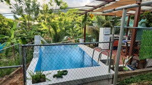 Une piscine entourée d’une clôture grillagée, surmontée d’une pergola et bordée d’une végétation luxuriante.
