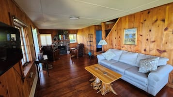 Smart TV, fireplace, books