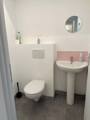 Hair dryer, towels, toilet paper