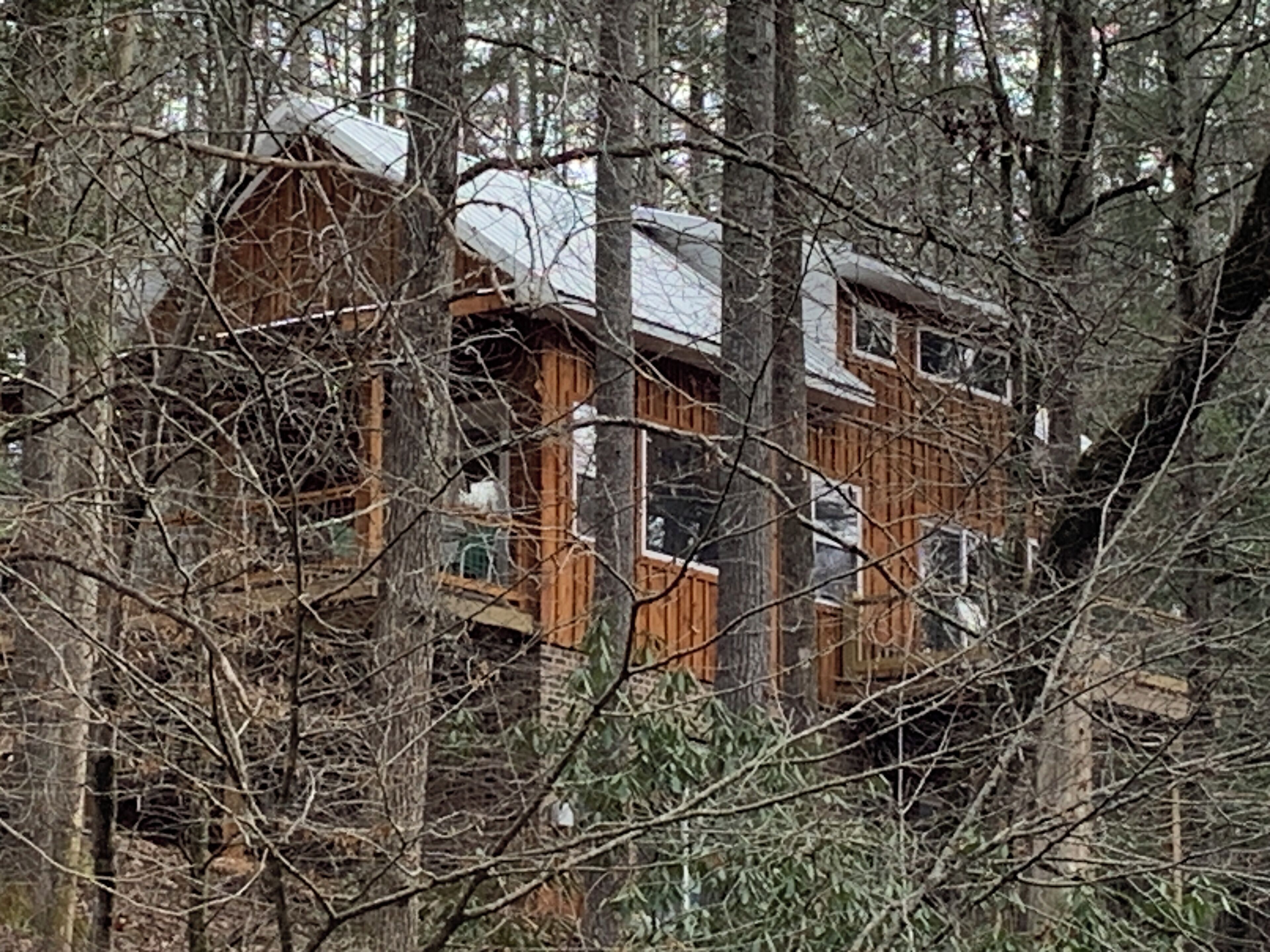 A cabin surrounded by trees.