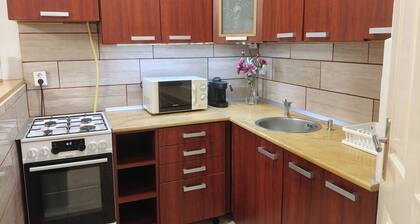 Express To Go Apartment