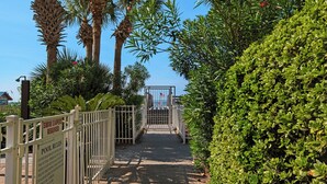 A pathway leading to a gated pool area with palm trees and a hedge on the right.