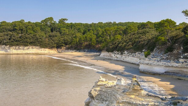 Une plage avec un rivage sablonneux, un promontoire rocheux et, au loin, une végétation luxuriante.