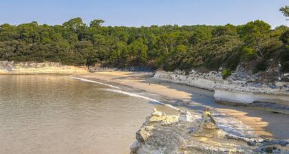 3 bedroom lovely home in Meschers-sur-Gironde