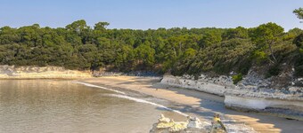 3 bedroom lovely home in Meschers-sur-Gironde