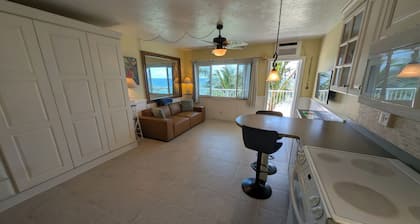 Direct Oceanfront Escape with Spectacular Views!