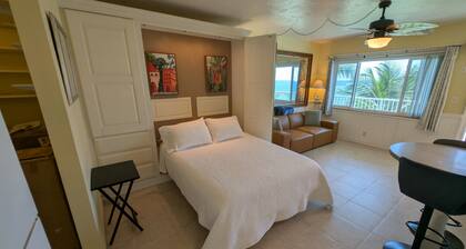 Direct Oceanfront Escape with Spectacular Views!