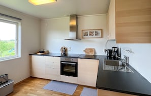 Fridge, oven, stovetop, dishwasher