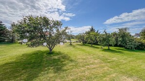 A well-maintained grassy area with several trees and a clear sky.