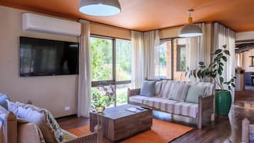 Télévision, cheminée, livres