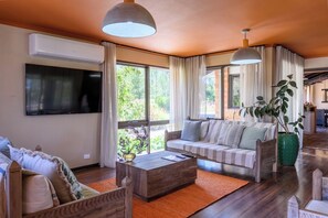 TV, fireplace, books