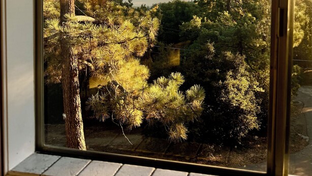 A window view of a forested area with a clear sky.