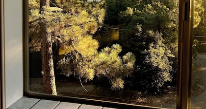 Quiet cabin in Idyllwild. Stunning Views, Cozy, Private, Pet and kid Friendly.