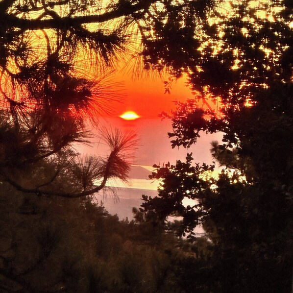 A sunset with the sun partially obscured by tree branches. - Quiet cabin in Idyllwild. Stunning Views, Cozy, Private, Pet and kid Friendly. (Idyllwild-Pine Cove)