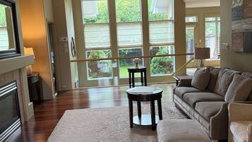 TV, fireplace, books