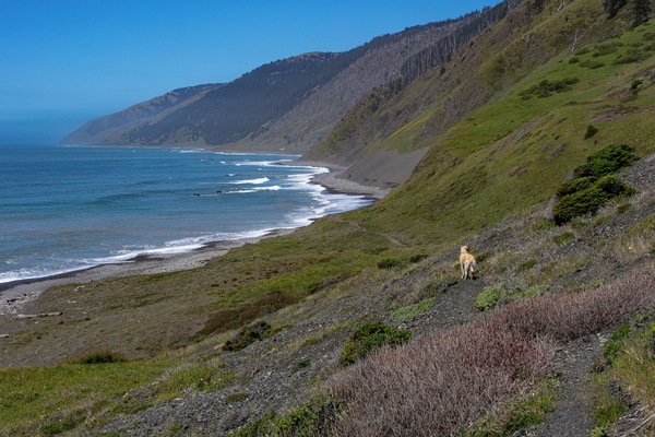 Beach nearby, sun-loungers, beach towels