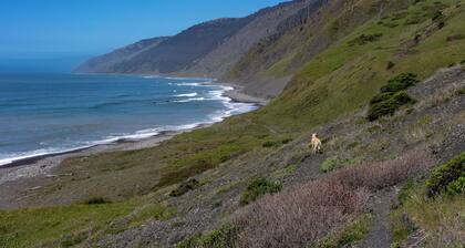 Mountain Azure Shelter Cove