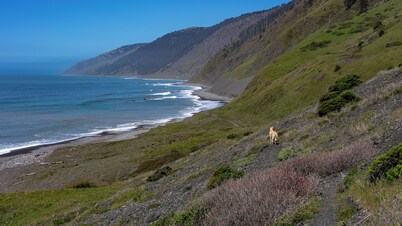 Mountain Azure Shelter Cove