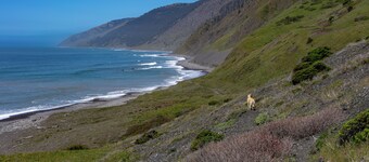 Mountain Azure Shelter Cove
