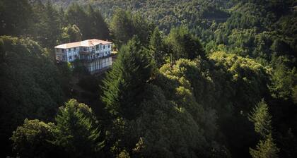 Mountain Azure Shelter Cove - Lost Coast Ocean View, Sleeps 16, Retreats