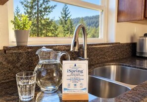 Forest-view kitchen with filtered water and bright granite counters