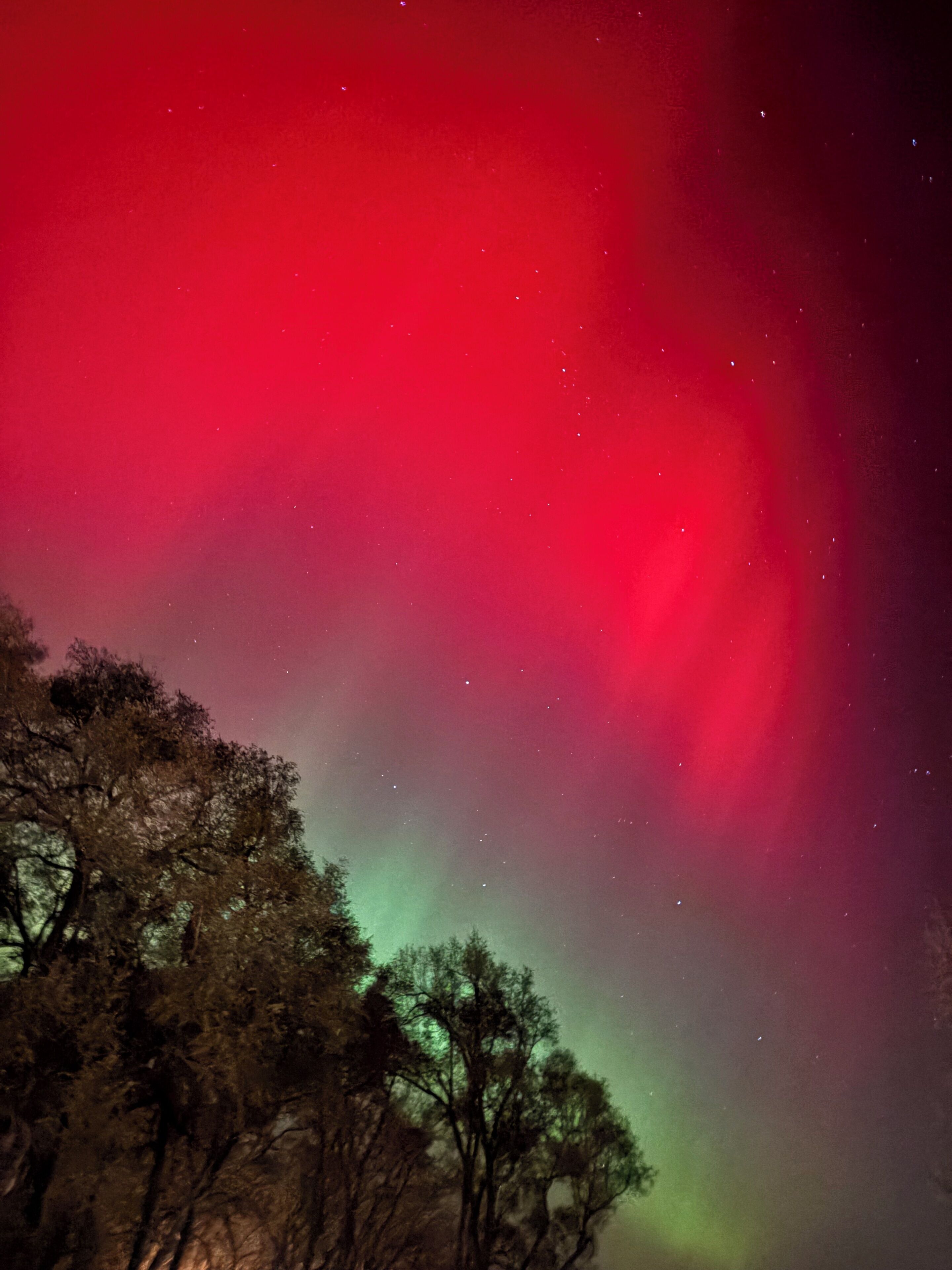 Nattehimmel med nordlys.