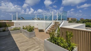 A rooftop terrace with a glass balustrade, wooden deck, and potted plants.