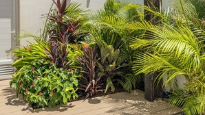 A patio area with a variety of tropical plants, a wooden post, and a white building with a garage door.