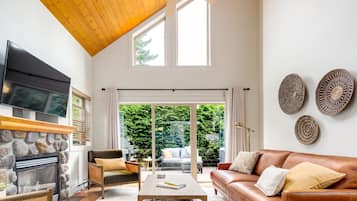 Smart TV, fireplace, books