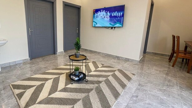 Un pasillo con un tapete estampado, un televisor montado en la pared y una planta en maceta sobre un pedestal.