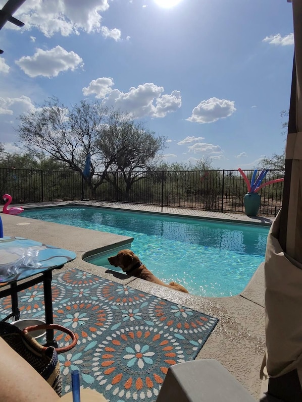 Piscine