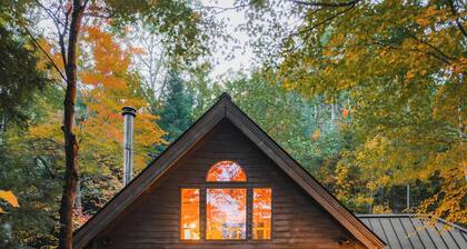 Complete Privacy on 16 Acres with Mountain Views