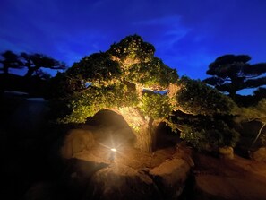 Miscellaneous - A Japanese garden where you can enjoy nightly illuminations and JAPANDI styles. (さぬき市志度)