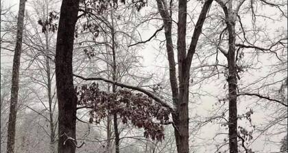 Red River Gorge Cozy Glamping Tent for 4 • Heated, Fire Pit & Hot Tub