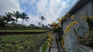 Double Room, Park View | Garden view