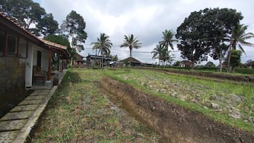 Double Room, Park View | Garden view