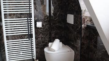 Regadera, toallas, papel de baño