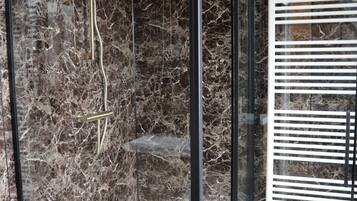 Shower, towels, toilet paper