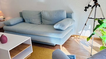 Smart TV, fireplace, video games, books
