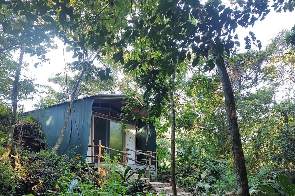 A rustic cabin surrounded by dense foliage, with a stone pathway leading to a wooden door.