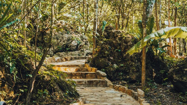 A stone staircase surrounded by dense foliage in a forested area. - Agarthi (Cintalapa)
