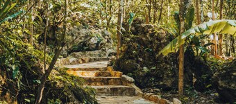 อการ์ธี  