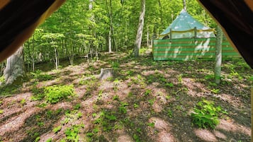 Enceinte de l’hébergement